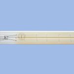 Bright Star Bulb 717