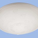 Bright Star CF292