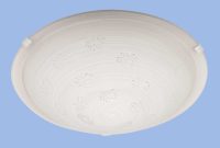 Bright Star CF292