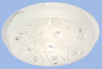 Bright Star CF361