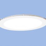 Bright Star DL501