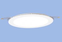Bright Star DL501
