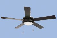 Bright Star FCF004