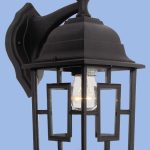 Bright Star L026
