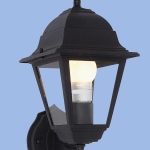 Bright Star L202