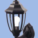 Bright Star L222