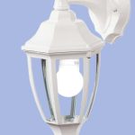 Bright Star L223