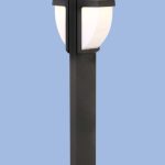 Bright Star L238
