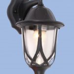 Bright Star L259