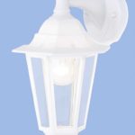 Bright Star L321
