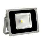 Radiant LS780 LED