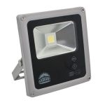 Radiant LS786