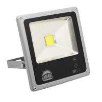 Radiant LS787
