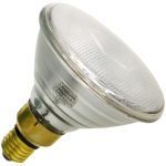 Radiant PAR120S