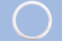 Bright Star Bulb T5