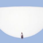 Bright Star WB3002
