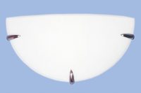 Bright Star WB3002