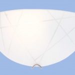 Bright Star WB513
