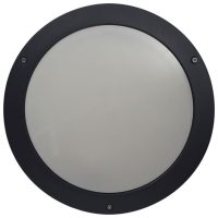 Radiant WT12A