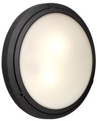 Radiant WT36
