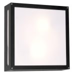 Radiant WT42