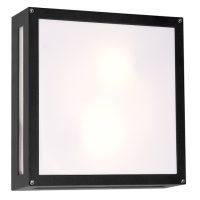 Radiant WT42