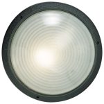 Radiant WT6A