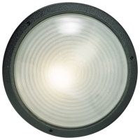 Radiant WT6A