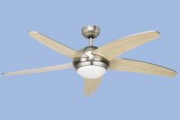 Bright Star FCF007